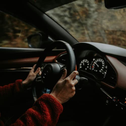 Adjo providing Transportation & Errands to an Edmonton senior in their home